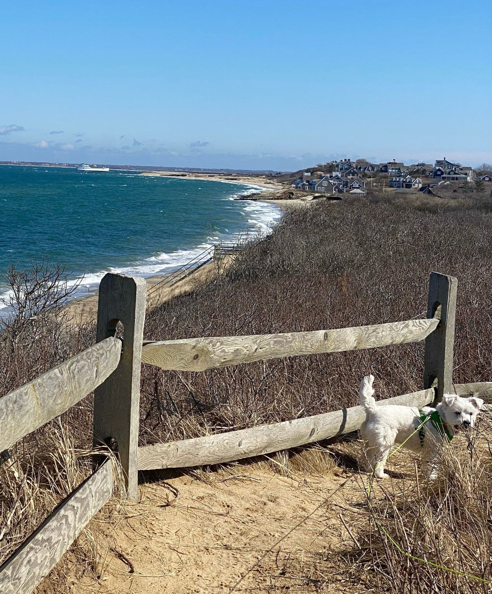 The bluff at Tupancy Links looking over Nantucket Sound